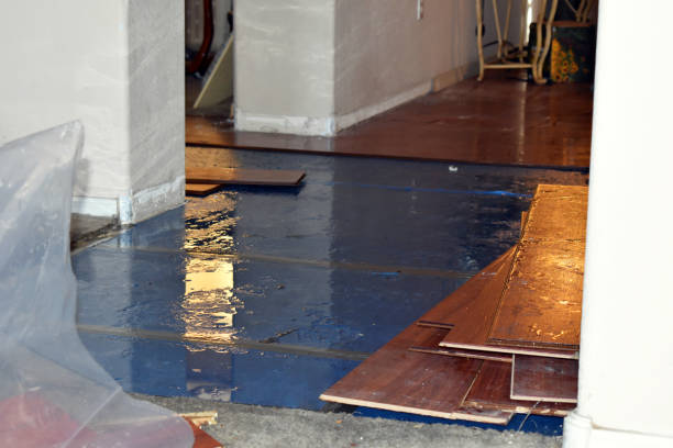 Professional Water Damage Repair technician working in Harmony, RI